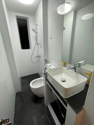 Balestier Regency (D12), Apartment #576202441